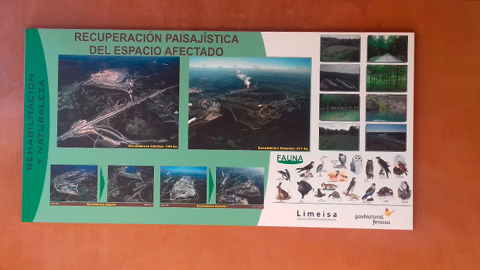 BICHERIA_145717