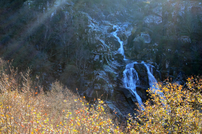 Cascada-de-A-Freixa