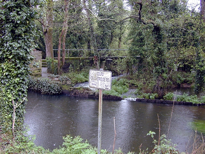 castrorei030
