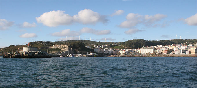 corme_4624