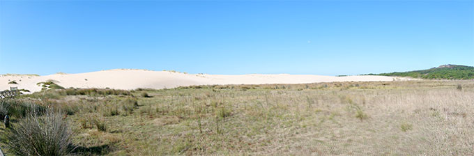 IMG_2437---IMG_2442_fused