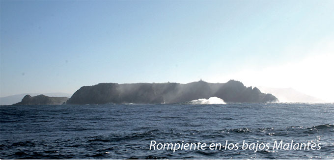 malantes-2