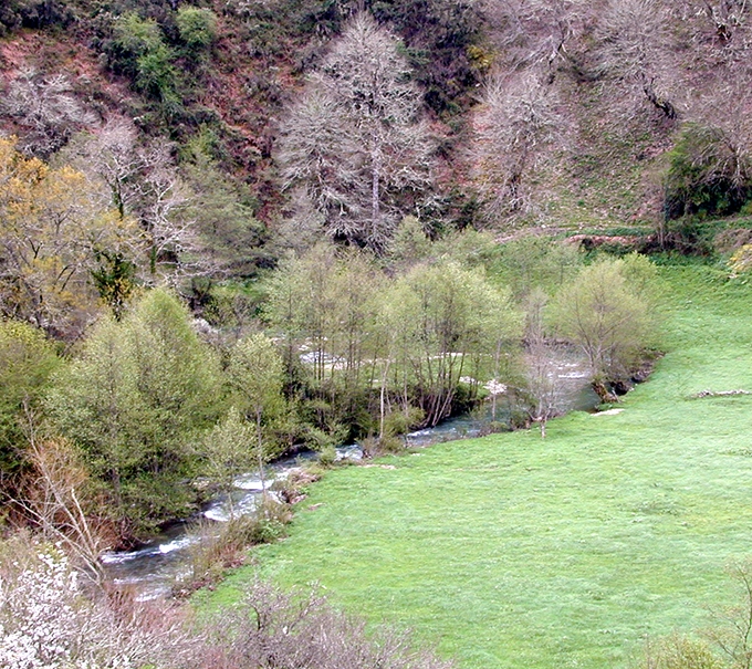 navia004
