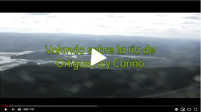 Ortigueira_video