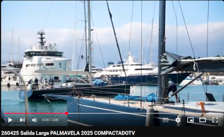 palmavela larga1