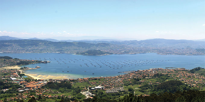 paralaia