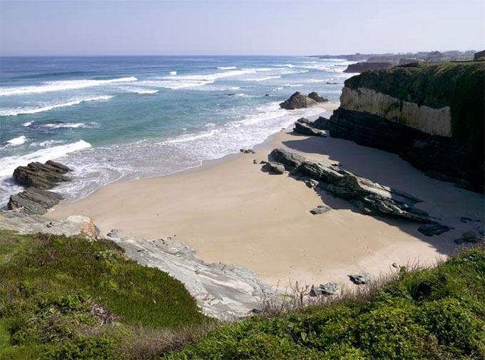 penasalsa