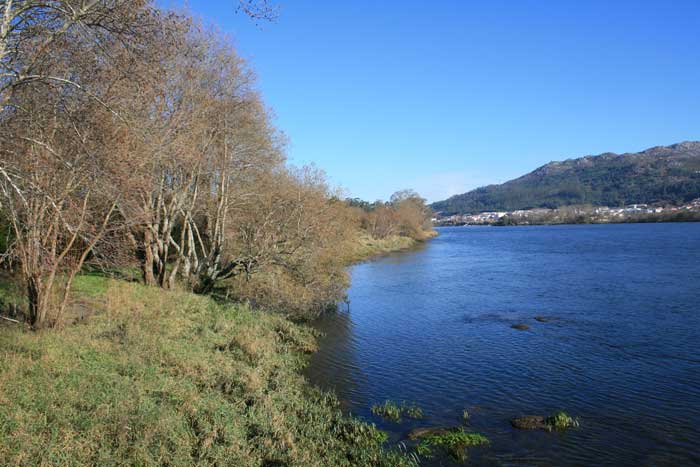 Río-Miño
