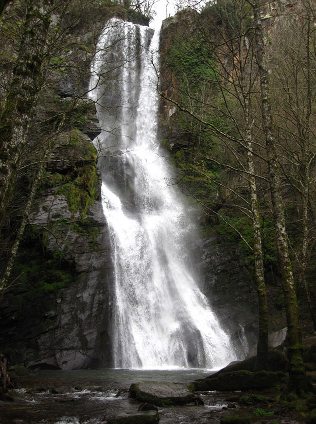 Seimeira-de-Vilagoncede