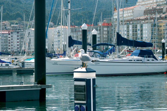 Baiona. Paraiso para navegantes.