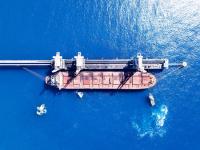 INTERCARGO: “No se puede regular el transporte marítimo de forma aislada” 
