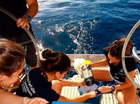Fenáutica 2019 ofrecerá más de una docena de charlas y talleres sobre biodiversidad marina   