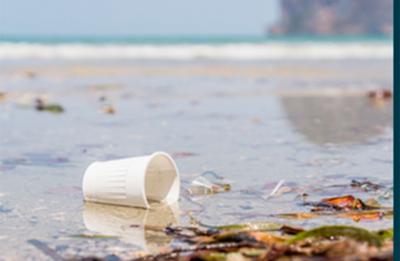 Alicante acoge un seminario sobre la contaminación por plásticos en los océanos