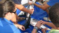 Publicado el calendario de Pesca del Puerto Deportivo de Oropesa