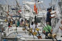 Tres marlines azules y un blanco fotografiados en  la primera jornada de la Marina Rubicón Marlin Cup 2010