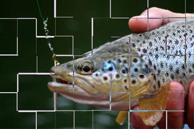 Nace Bancodepeces, el primer banco de imágenes de pesca y paisaje acuático