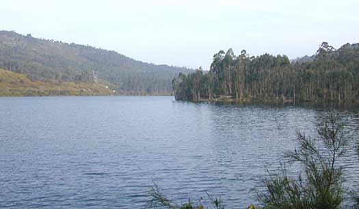 Embalse de Pontillón de Castro. Verducido. Pontevedra