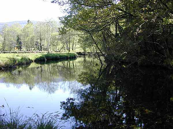 Río Almofrei. Pontevedra