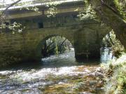 Río Almofrei. Pontevedra