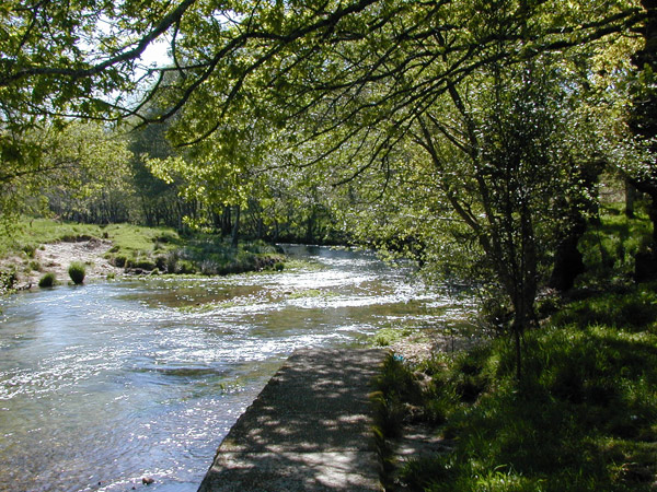 Río Almofrei. Pontevedra