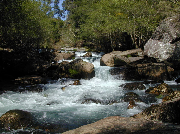 Río Almofrei. Pontevedra