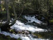 Río Almofrei. Pontevedra