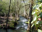 Río Almofrei. Pontevedra