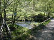 Río Almofrei. Pontevedra