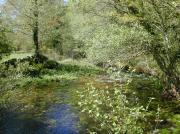 Río Almofrei. Pontevedra