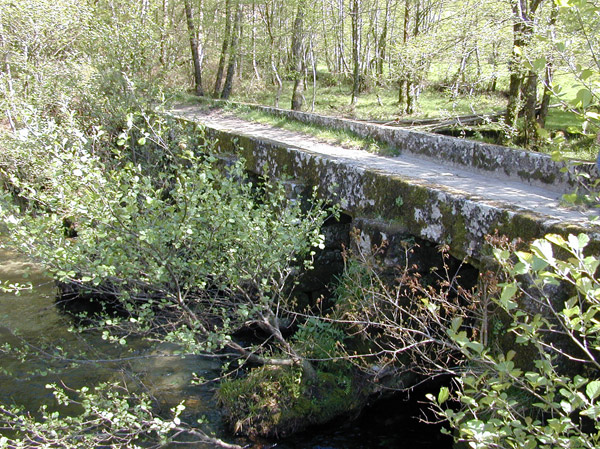 Río Almofrei. Pontevedra