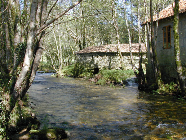 Río Almofrei. Pontevedra