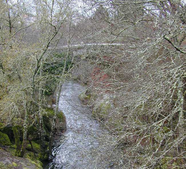 Cauce alto. Puente románico al fondo