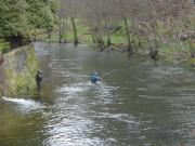 Pescando a cola de rata en el coto sin muerte