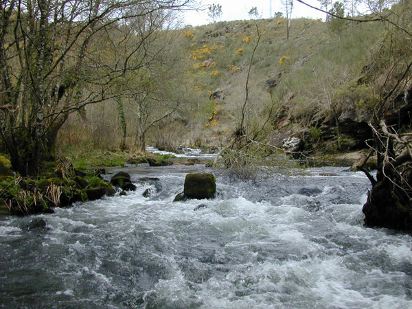 Aguas Bravas