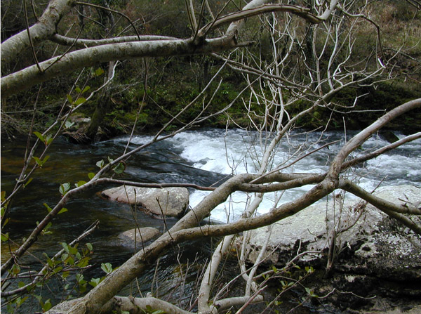 Aguas limpias