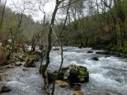 Camino veloz del agua