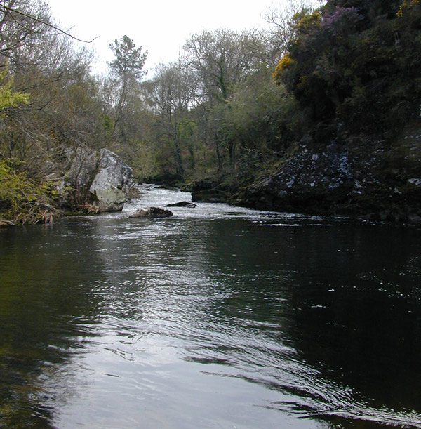 El río encañonado