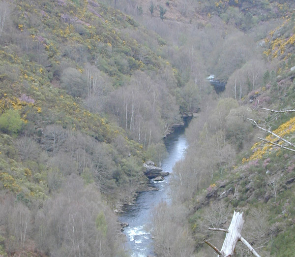 Llegando al embalse de Portodemouros