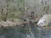 Pescando en zona de remanso