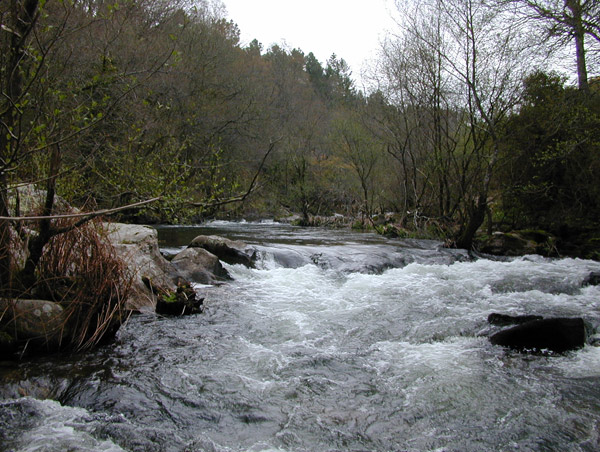 Remansa, acelera, agua en su más pura esencia