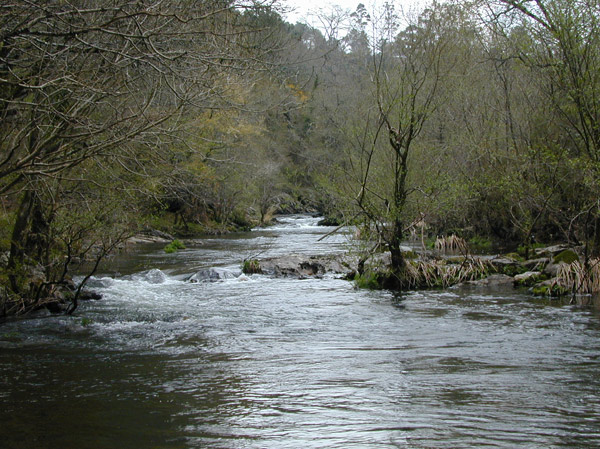 Río Arnego, un gran desconocido