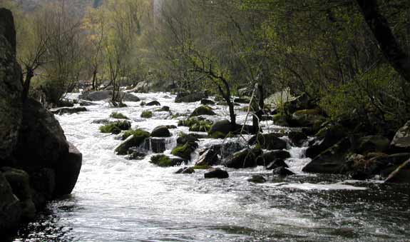 Zona del curso medio. Aguas bravas