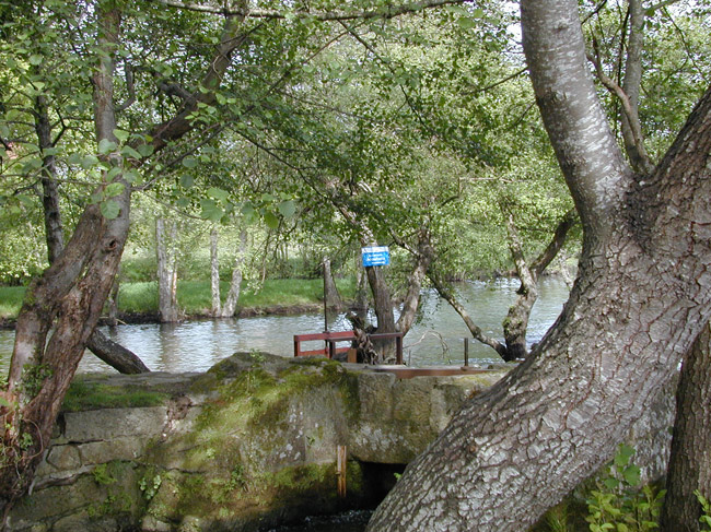 Capricho en Allariz