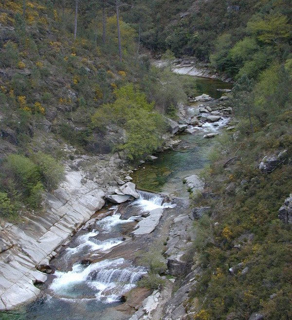  Desembocadura en el Limia