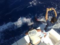 La tripulación extranjera del Blue Marlin III lidera el Concurso de Pesca de Altura de Pasito Blanco tras la primera jornada