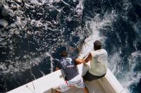 Los tripulantes extranjeros toman el protagonismo en  el Concurso de Pesca de Altura de Pasito Blanco
