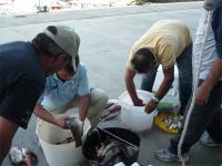 Oraimpe vencedor del concurso de pesca desde embarcación del CND Ribeira