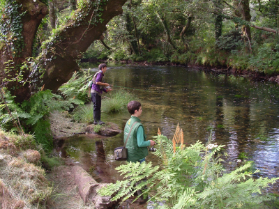 XLV CAMPEONATO DE PESCA DE PONTECALDELAS.