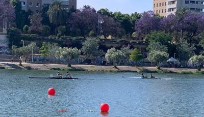 El Campeonato de Andalucía de barcos largos de remo, para el Club Náutico Sevilla El Campeonato de Andalucía de barcos largos de remo, para el Club Náutico Sevilla