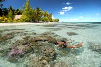 ‘Sea-fari’ en el atolón de Fakarava, lo último en inmersiones